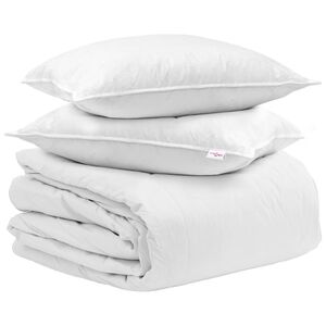 vidaXL Ensemble de Duvet avec oreiller 3 pcs Blanc Plume de canard