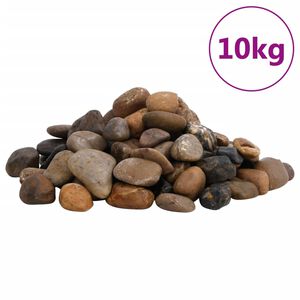 vidaXL Galets polis 10 kg multicolores 2-5 cm