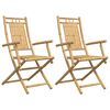 vidaXL Chaises pliables de jardin lot de 2 53x66x99 cm bambou