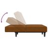 vidaXL Canap&eacute;-lit &agrave; 2 places Marron Velours