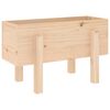 White_pine