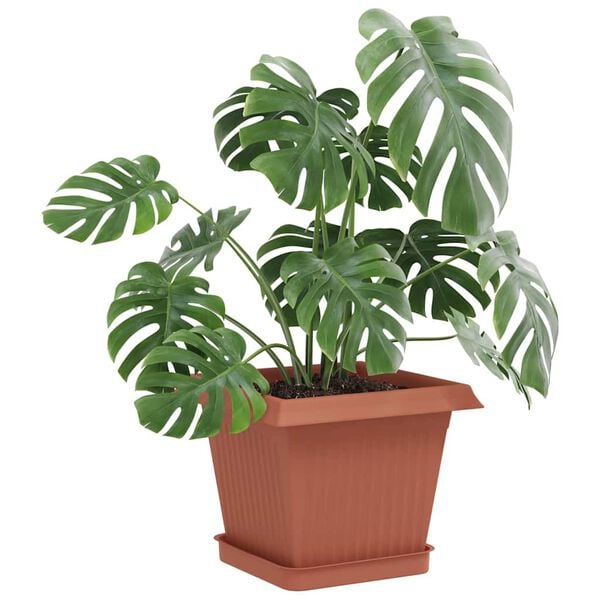 Affichage de l&rsquo;image produit 3 sur 10