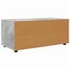 vidaXL Meuble TV Gris b&eacute;ton 100 x 48 x 43 cm Bois d'ing&eacute;nierie