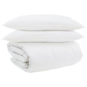 vidaXL Ensemble de Duvet avec oreiller 3 pcs Blanc Plume de canard