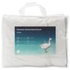 Vignette du produit 5 sur 12
