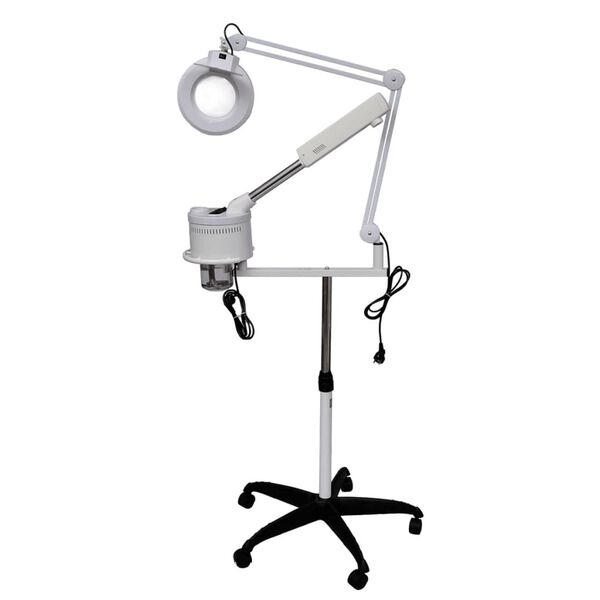 Vapozone et lampe loupe institut esth&eacute;tique