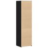 vidaXL Haut Armoire 2 pcs Ch&ecirc;ne noir 50 x 42,5 x 185 cm