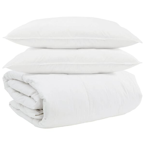 vidaXL Ensemble de Duvet avec oreiller 3 pcs Blanc Plume de canard