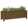 vidaXL Lit sur&eacute;lev&eacute; de jardin brun miel 119,5x40x39 cm bois pin massif