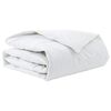 vidaXL Duvet d'hiver 140 x 200 cm Hiver Plume Blanc Respirant
