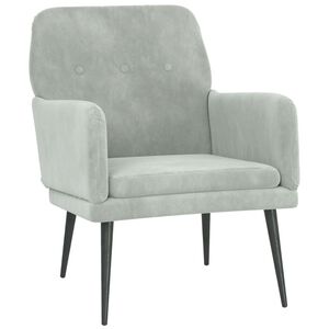 vidaXL Fauteuil Gris clair 62x79x79 cm Velours