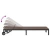 vidaXL Transat 1-personne Marron 60 x 200 x 27cm polyrotin