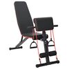 vidaXL Banc de musculation Noir 131 x 41 x 100 cm