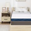 vidaXL Surmatelas Blanc 70 x 200 cm Tissu jacquard