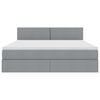 vidaXL Lit avec rangement et LED Gris clair 160 x 200 cm Polyester