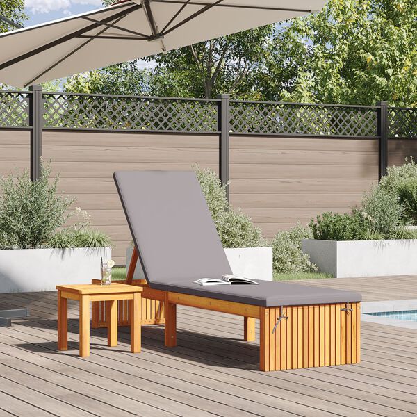 vidaXL Transat 1-personne Marron 200 x 55 x 94cm Bois d'acacia massif