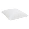 vidaXL Duvet d'&eacute;t&eacute; simple avec oreiller 2 pcs Blanc Microfibre