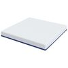 vidaXL Matelas Blanc et Bleu 180 x 200 cm Tissu jacquard