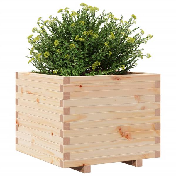 vidaXL Jardini&egrave;re 60x60x49,5 cm bois de pin massif