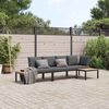 vidaXL Salon de jardin 3 pcs avec coussins noir aluminium
