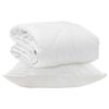 vidaXL Duvet toutes saisons avec oreiller 2 pi&egrave;ces Blanc Microfibre