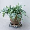 Nature Chariot &agrave; plantes rond &Oslash;38 cm noir bois
