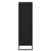 vidaXL Cabinet de salle de bain avec porte Ch&ecirc;ne noir 40 x 30 x 100 cm