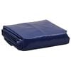 vidaXL B&acirc;che bleu 5x6 m 650 g/m&sup2;