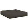 vidaXL Coussin de si&egrave;ge 1 pi&egrave;ce VIANEN 100 % polyester Anthracite