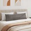 vidaXL Coussins de canap&eacute; 2 pcs Gris clair 145 x 40 cm
