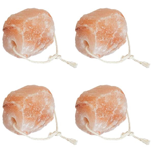 vidaXL Pierres &agrave; L&eacute;cher en Sel Rose Sel de Roche