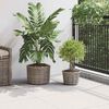 vidaXL Panier &agrave; plantes avec stockage 2 pcs Gris Rattan Kubu
