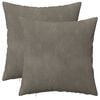 vidaXL Housse de coussin 2 pcs HEERLEN Gris clair 30 x 30 cm Velours