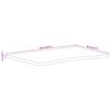 vidaXL Dessus de bureau avec courbe 100x80x2,5 cm manguier massif brut
