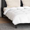 vidaXL Ensemble de Duvet avec oreiller 3 pcs Blanc Plume de canard