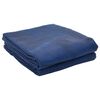 vidaXL Tapis de tente Bleu 500 &times; 350 cm Polyester