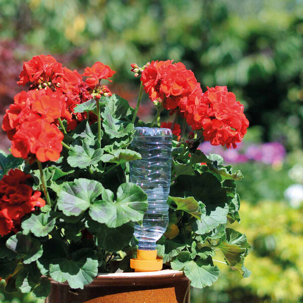 Hozelock C&ocirc;nes d'arrosage larges 4 pcs Aquasolo