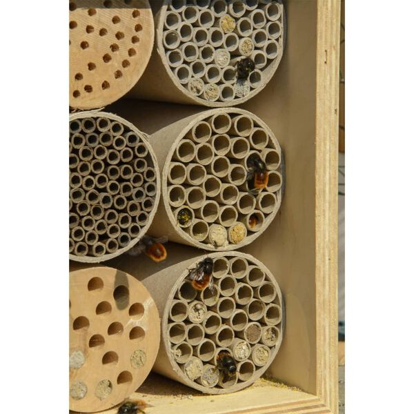 LUXUS-INSEKTENHOTELS Maison &agrave; abeilles et pochettes en papier et trous