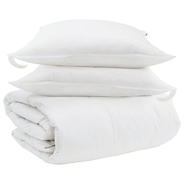 vidaXL Ensemble de Duvet avec oreiller 3 pcs Blanc Plume de canard