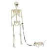 vidaXL Squelette de décoration Halloween 2 pcs Blanc Polypropylène