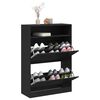 vidaXL Armoire à chaussures 2 tiroirs rabattables noir 80x34x116 cm