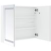 vidaXL Armoire de salle de bain à miroir LED 80x12,2x68 cm