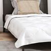 vidaXL Duvet toutes saisons avec oreiller 2 pcs Blanc Microfibre