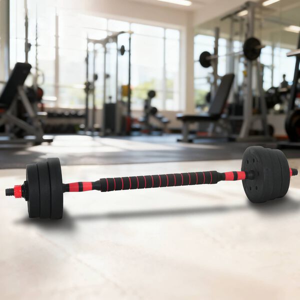 vidaXL Set d'haltères 2-en-1 Noir et Rouge 121 x 19,5 x 19,5 cm