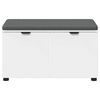 vidaXL Banc d'entr&eacute;e avec coussin avec stockage Blanc 80 x 46 x 46 cm