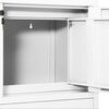 vidaXL Armoire de bureau Blanc 90x40x102 cm Acier
