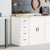 vidaXL Armoire de rangement de garage blanc 30x51x85 cm bois de pin