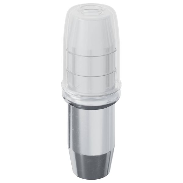 vidaXL Panneau de rayon 2 pcs Argent&eacute; 7 x 16 mm Fer