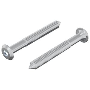 vidaXL Vis 2 pc Argent&eacute; M6 x 50 mm Acier