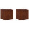 vidaXL Support de Plante 2 pcs Rouill&eacute; 40 x 40 x 40 cm Acier patin&eacute;